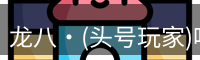 头号玩家娱乐平台